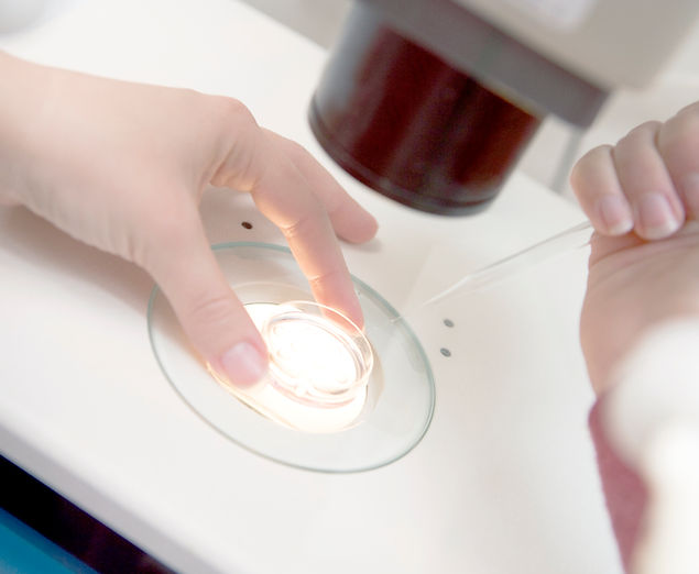 Embryologist Adding Sperm to Egg